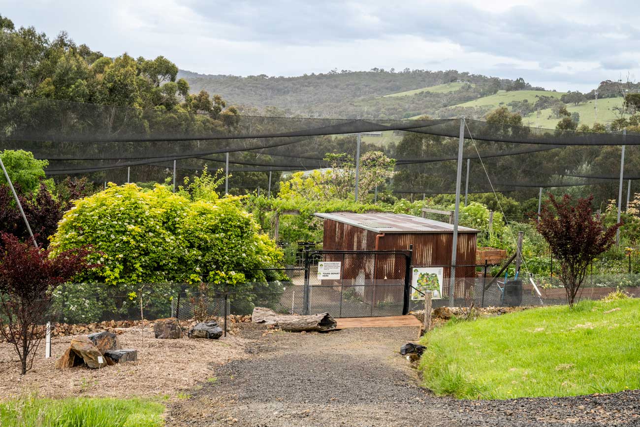 edible forest on gardening australia