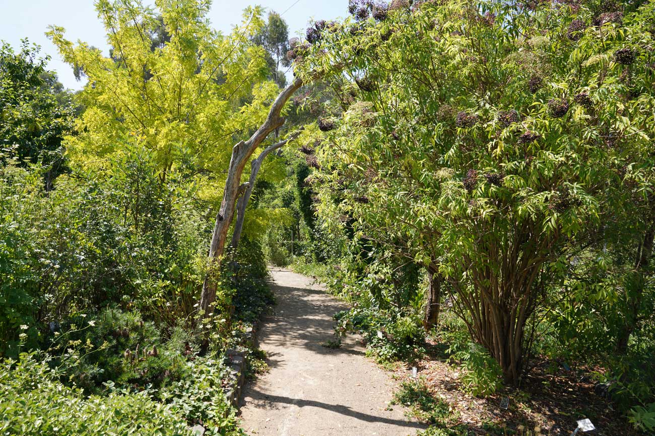 sustainability at Yarra Valley Estate