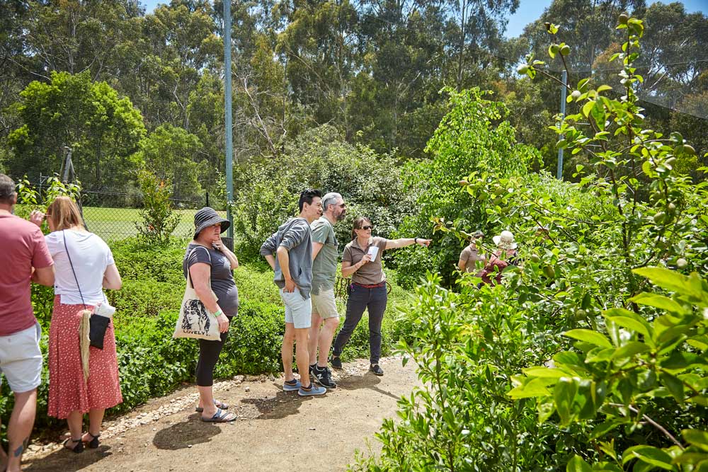 edible forest tour