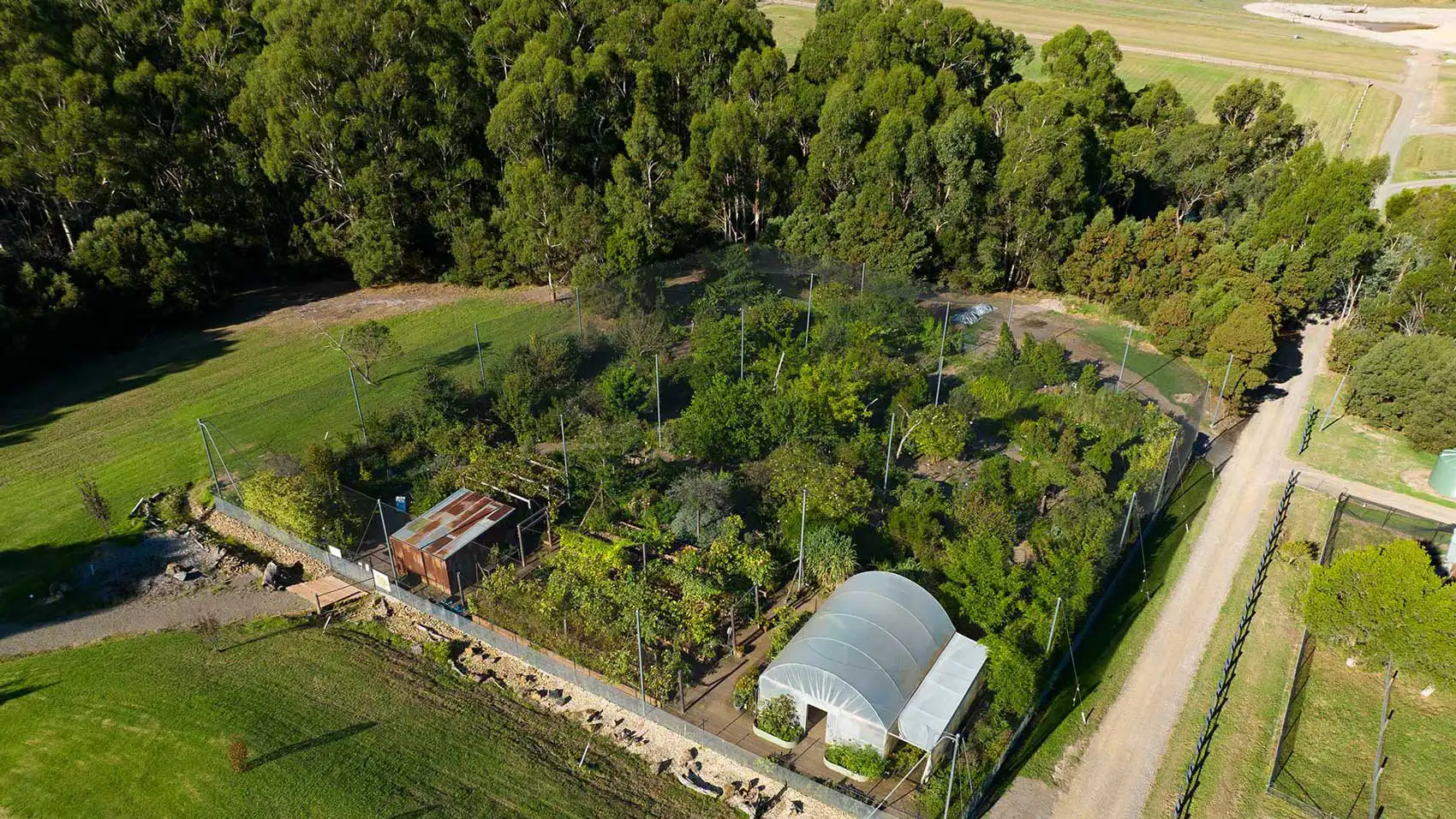 edible forest yarra valley